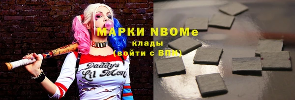 прущий лед Алзамай