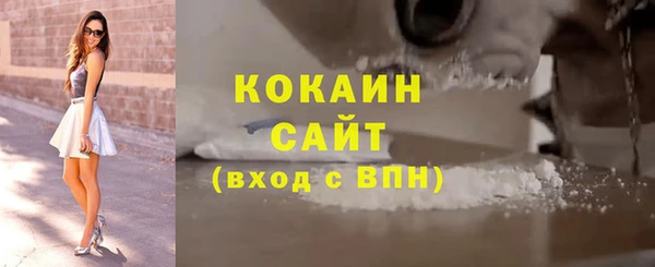 прущий лед Алзамай