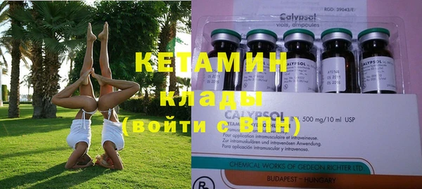 ПСИЛОЦИБИНОВЫЕ ГРИБЫ Абаза