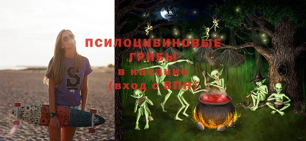 стафф Абинск