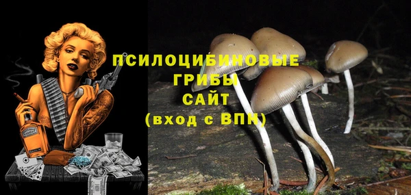 стафф Абдулино