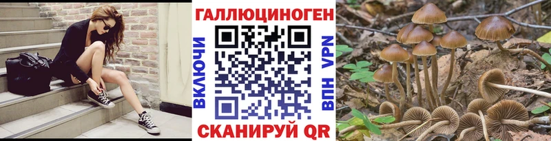 Галлюциногенные грибы Cubensis  Ясный 